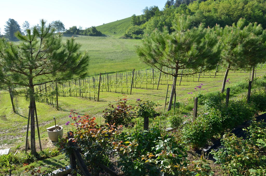 فندق Cascina Castagneto CastellʼAlfero المظهر الخارجي الصورة
